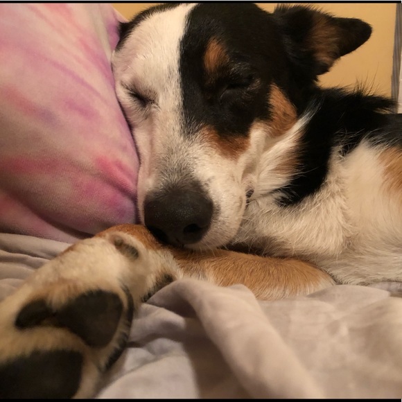 β’ Meet your Posher, Taylor β’ - Picture 3 of 3